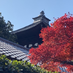 Japan Herfst en rijke cultuur