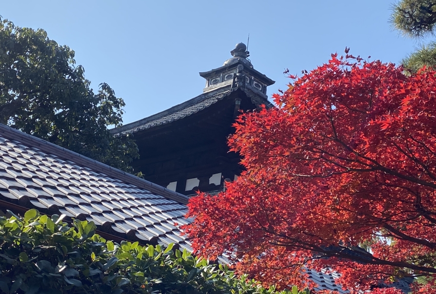 Japan Herfst en rijke cultuur